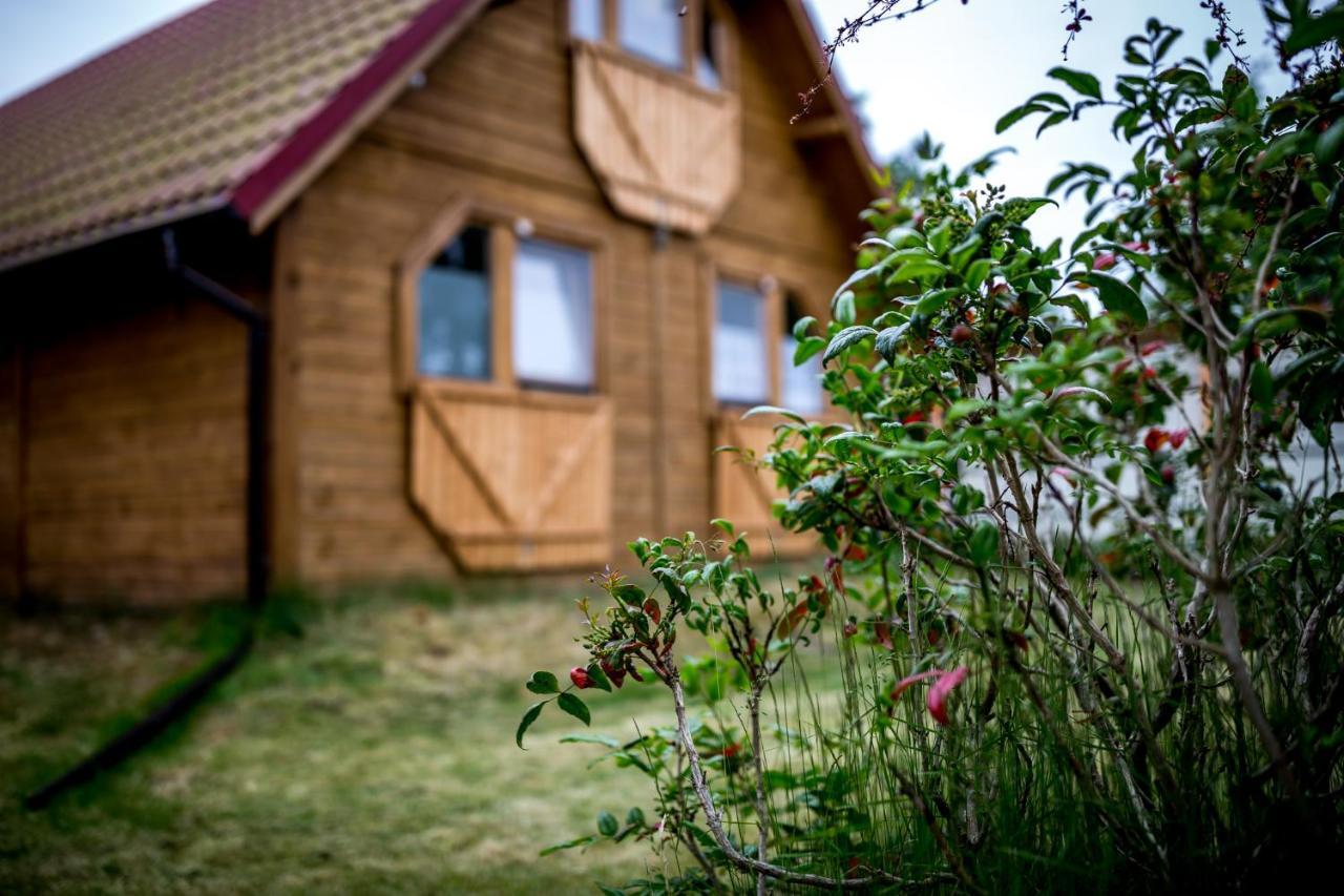Villa Zastan Мендзыводзе Экстерьер фото